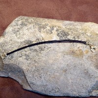 Verlängerungen für Colliers