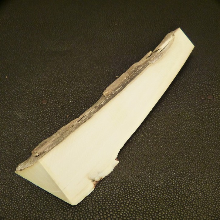 Mammut-Abschnitt ca. 145mm lang