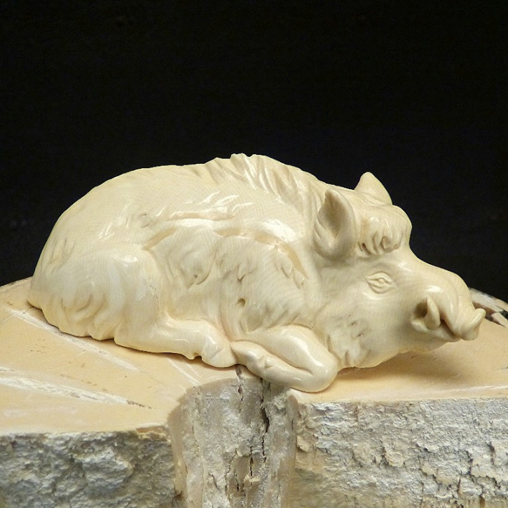 liegendes Wildschwein groß