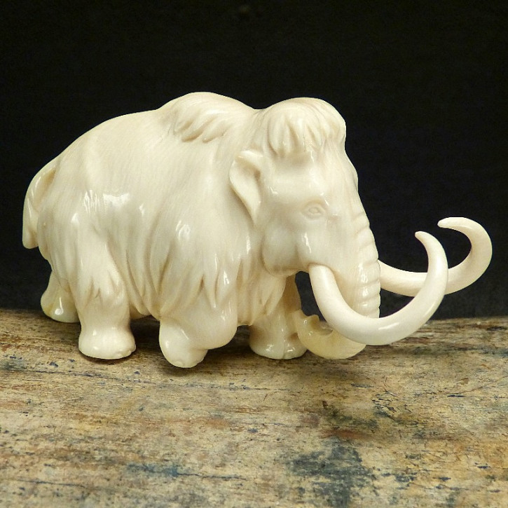 Mammut mit mächtigen Zähnen