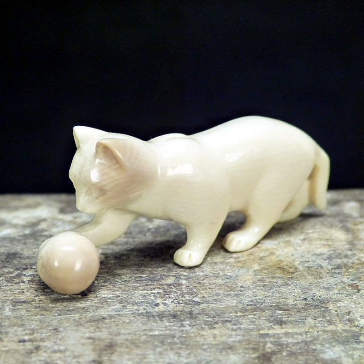 Katze mit Ball spielend