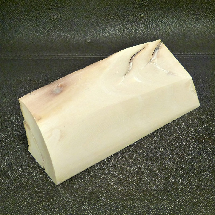Mammut-Abschnitt mit Wasserflecken ca. 140x47x47mm