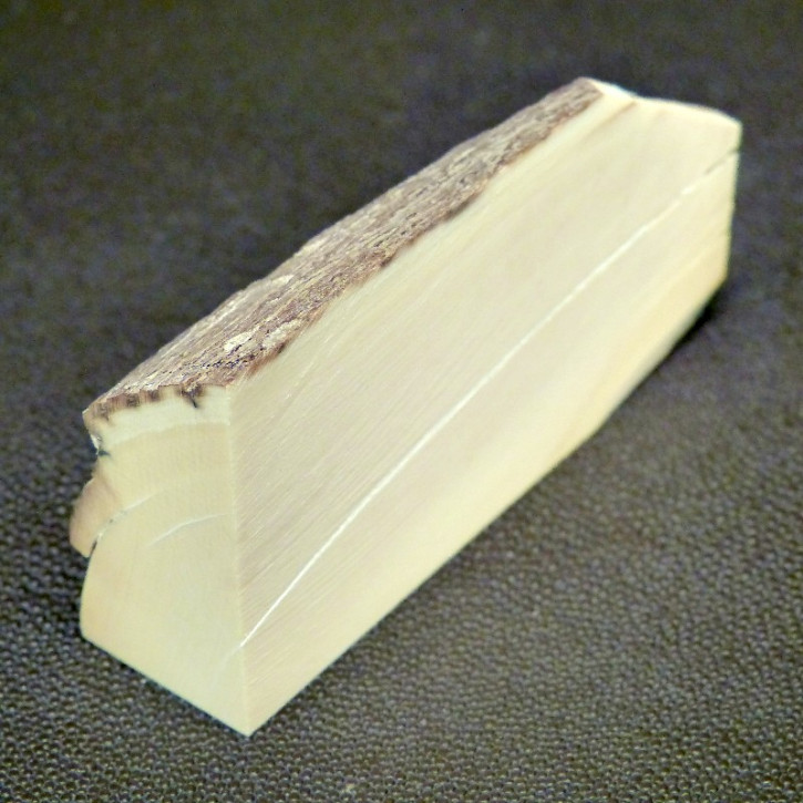 Mammut-Abschnitt ca. 91x50x25mm