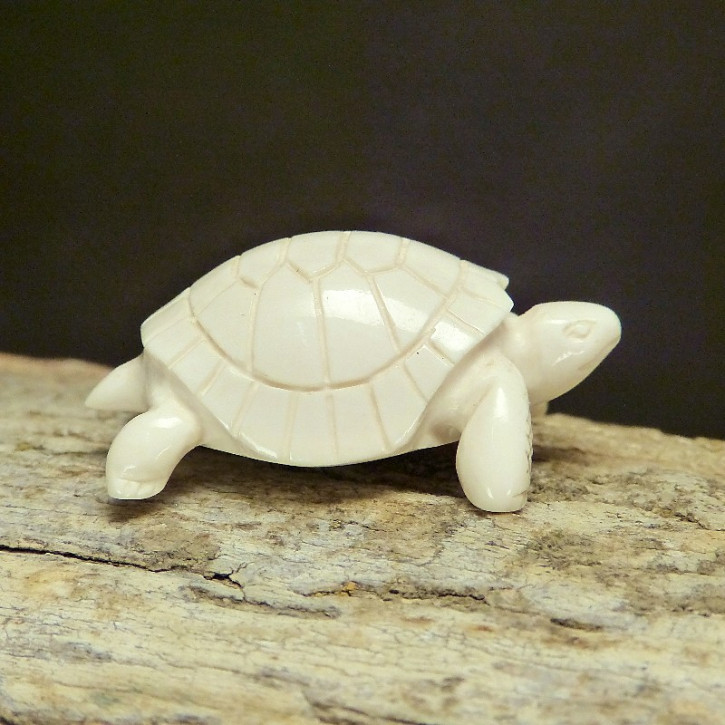 Schildkröte aus hellem Mammut-Elfenbein