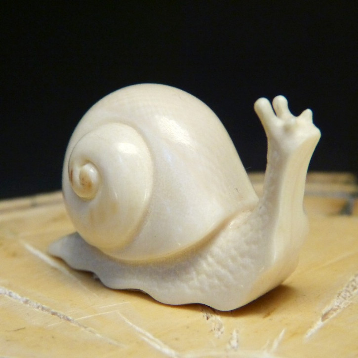 Schnecke  mit schöner Ausarbeitung