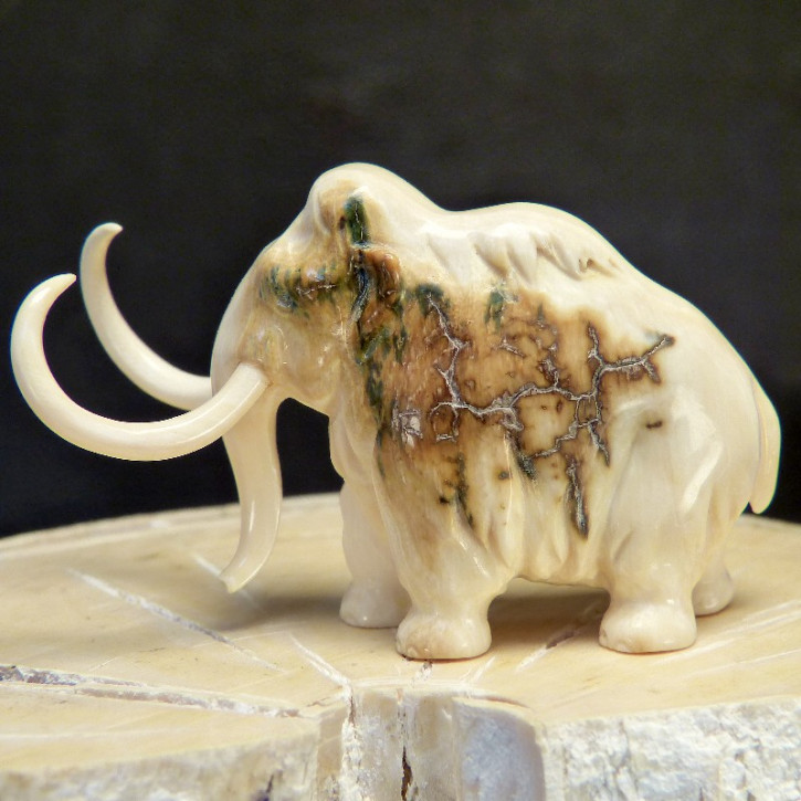 Mammut mit tollen Färbungen