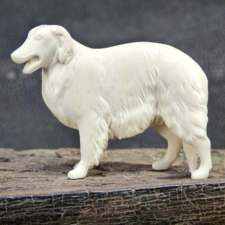 russischer Windhund mit schönen Färbungen