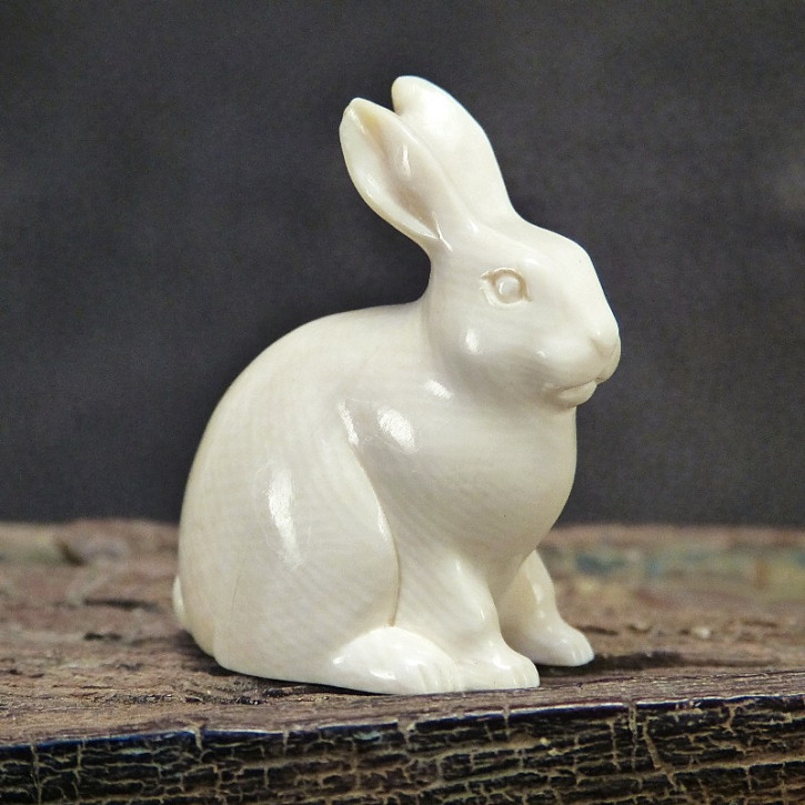 Hase sitzend