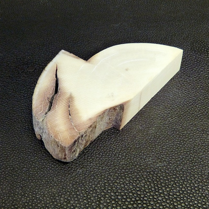 Mammut-Abschnitt ca. 78 x 46 x 13 mm