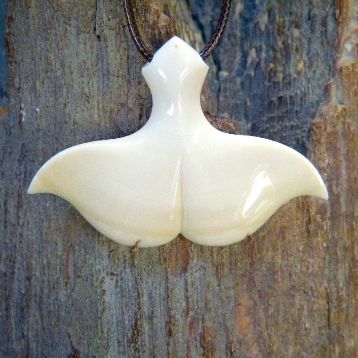 Walfluke mit Zahnschmelz
