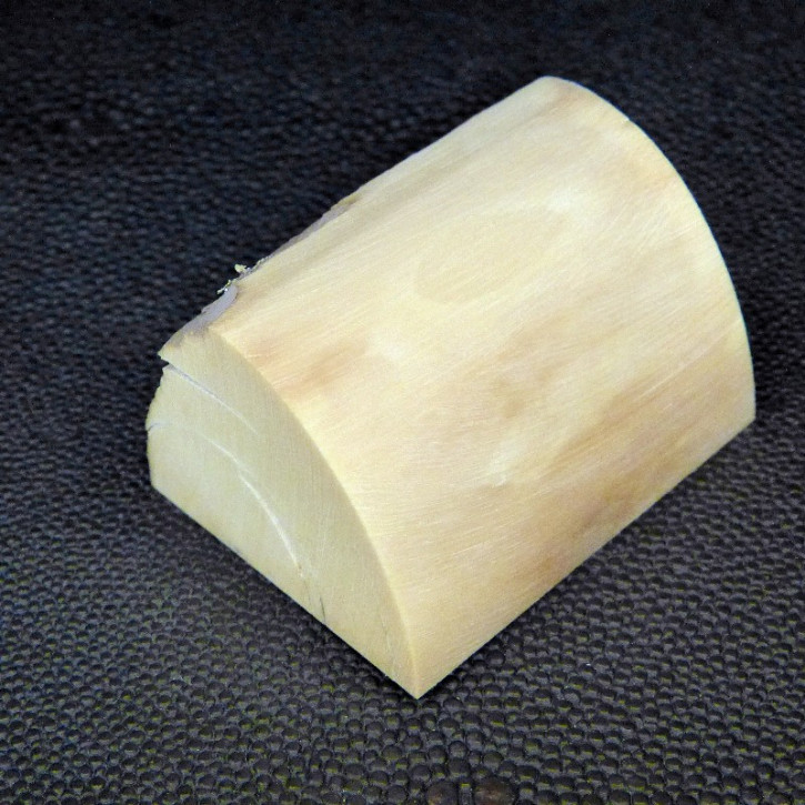 Mammut-Abschnitt ca. 49x38x30mm