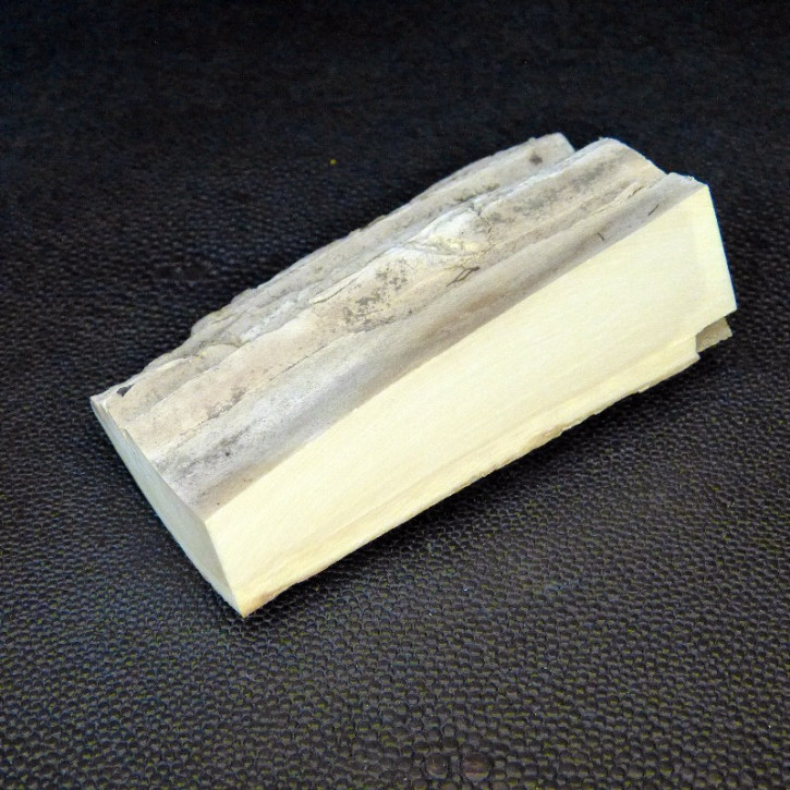 Mammut-Abschnitt ca. 81x48x16-25mm
