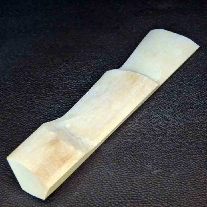 Mammut-Abschnitt ca. 147mm lang