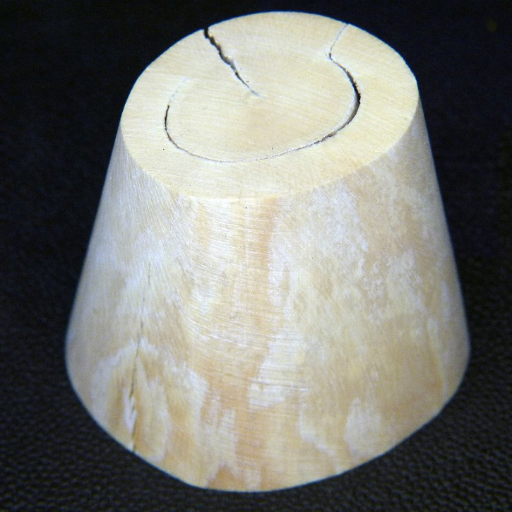 Mammut-Kegel aus dem Kern ca. 56x31x46mm