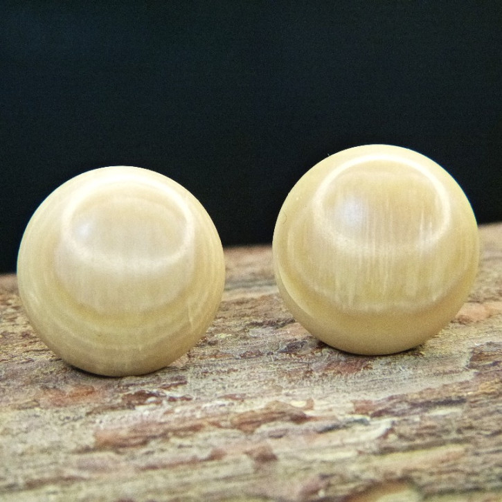 Bouton-Ohrstecker aus dunklem Mammut ca. 18mm