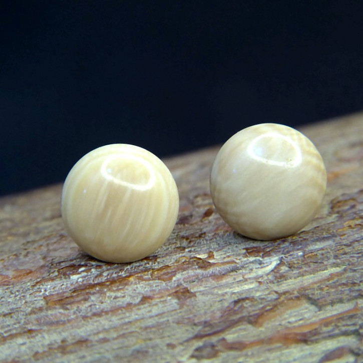 Bouton-Ohrstecker aus Mammut ca. 12mm