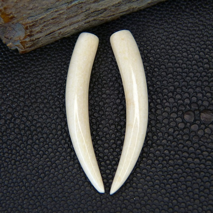 1 Paar Ersatzstoßzähne aus Mammut ca. 45mm lang