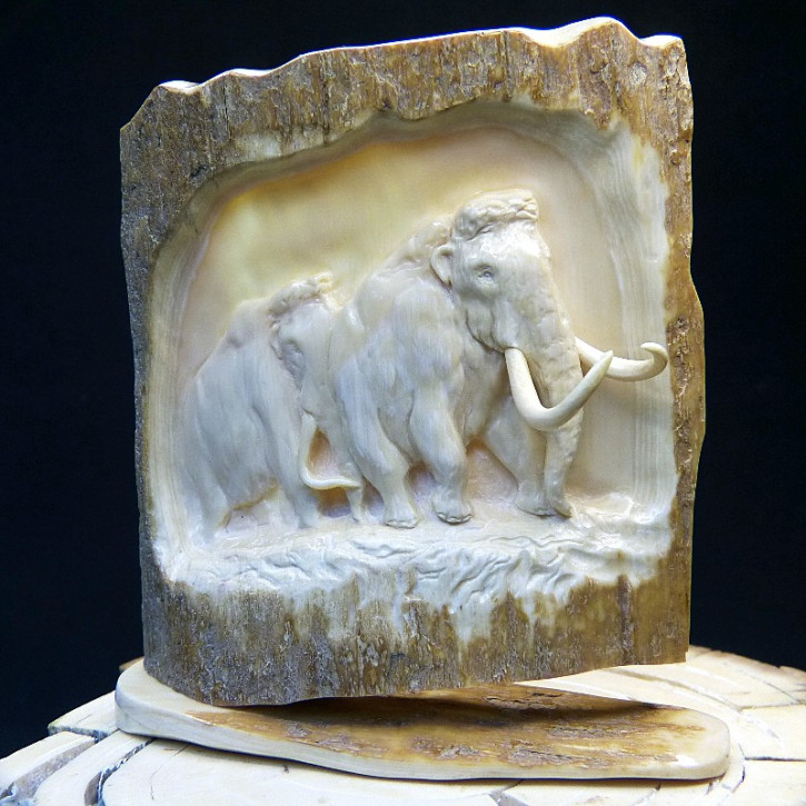 Mammut-Relief aus der Rinde