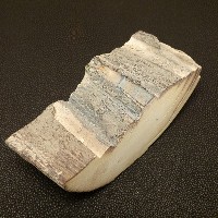 Mammut