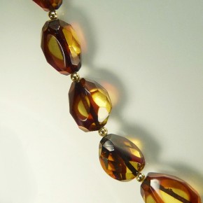 Bernstein-Collier Bicolor