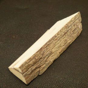 Mammut-Abschnitt mit Rinde ca. 100mm lang