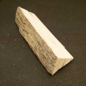 Mammut-Abschnitt mit Rinde ca. 100mm lang