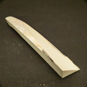 Mammut-Abschnitt ca. 145mm lang