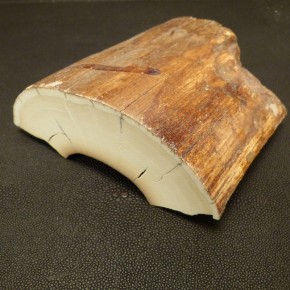 Mammut-Abschnitt mit Rinde ca. 38mm dick