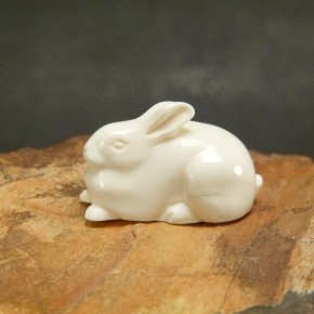 Hase sitzend