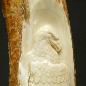 Adler-Reilief in der Mammutrinde