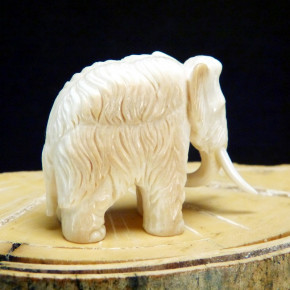 Mammut mit leichten Färbungen