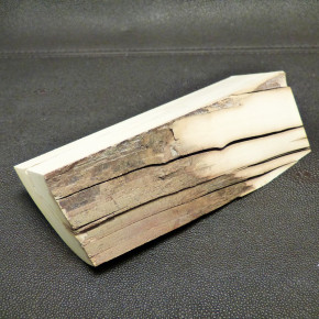 Mammut-Abschnitt mit Wasserflecken ca. 140x47x47mm