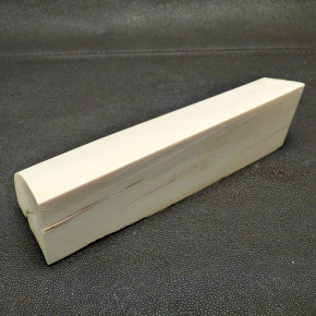 Mammut-Abschnitt mit Wasserflecken ca. 140x47x47mm