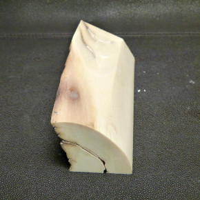 Mammut-Abschnitt mit Wasserflecken ca. 140x47x47mm