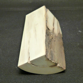 Mammut-Abschnitt mit Wasserflecken ca. 140x47x47mm