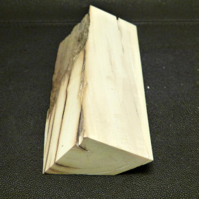 Mammut-Abschnitt mit Wasserflecken ca. 140x47x47mm