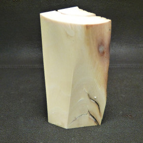 Mammut-Abschnitt mit Wasserflecken ca. 140x47x47mm