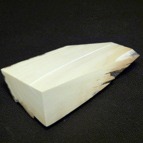 Mammut-Abschnitt ca. 91x50x25mm