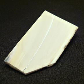 Mammut-Abschnitt ca. 91x50x25mm