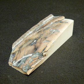 Mammut-Abschnitt ca. 91x50x25mm