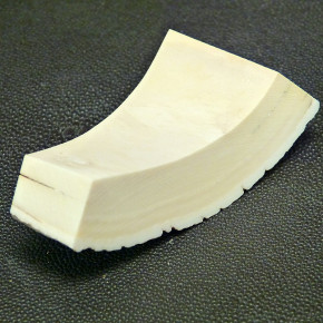 Mammut-Bogenabschnitt ca. 76x36-19x20mm