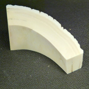 Mammut-Bogenabschnitt ca. 76x36-19x20mm