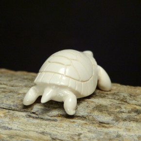 Schildkröte aus hellem Mammut-Elfenbein