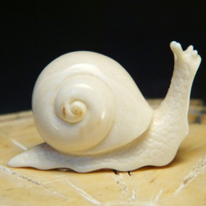 Schnecke  mit schöner Ausarbeitung