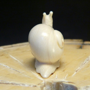 Schnecke  mit schöner Ausarbeitung