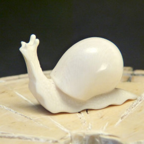 Schnecke  mit schöner Ausarbeitung