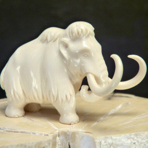Mammut mit schöner Maserung