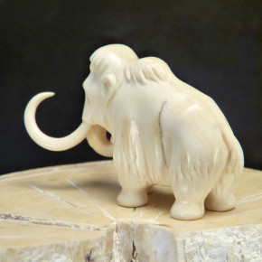 Mammut mit schöner Maserung