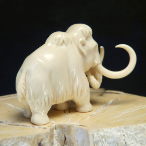 Mammut mit schöner Maserung