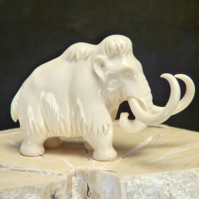 Mammut mit schöner Maserung